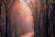 问鼎娱乐官网:北京将迎三大国际冰雪赛事央视新闻客户端.