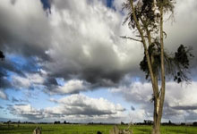 上海男篮官方:王哲林因腰伤预计缺席6周上海久事大鲨鱼官方微博.