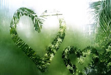 [CBA]王博：从“隐形虎”到“明星教练”.