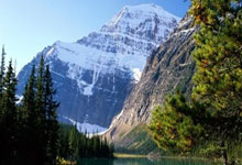 遭巴拿马绝杀!波切蒂诺:我们是美国队,光靠名声是赢不了比赛的.