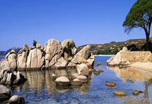 问鼎娱乐官网:文森特和芬尼-史密斯替补均投进6记三分,成为队史首对达成该成就的二人组.